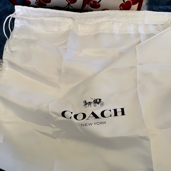 Coach Swing Zip Cherry Print Leather Bag - Picture 15 of 16
